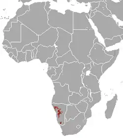 Distribución de E. zebra hartmannae