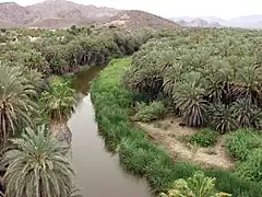 Oasis,Mulegé, Baja California Sur