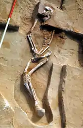 Lago Mungo III es un enterramiento en el que se usó ocre y en el mismo sitio se encontró otro enterramiento en el que se incineró al cadáver, LM1. Ambos casos son los más antiguos datados en la especie H. sapiens. Esto ocurrió entre hace 40 y 60 años.