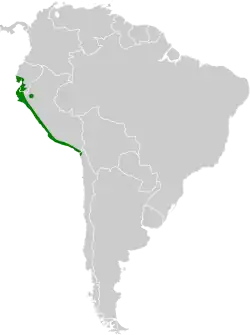Distribución geográfica de la dormilona colicorta.