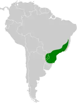 Distribución geográfica de la viudita coluda.