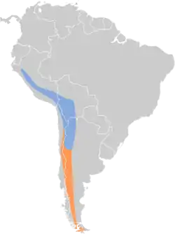 Distribución geográfica de la dormilona fraile.