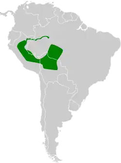 Distribución geográfica de la dormilona enana.