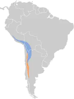 Distribución geográfica de la dormilona frentinegra.