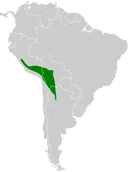 Distribución geográfica de la dormilona puneña.