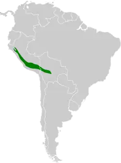 Distribución geográfica de la dormilona nuquiparda.