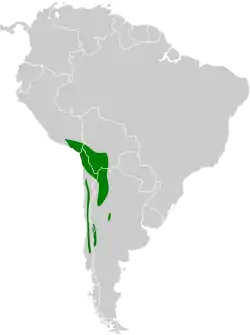 Distribución geográfica de la dormilona nuquirroja (excluyendo M. rufivertex occipitalis).