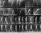 Eadweard Muybridge, Autorretrato como hombre arrojando un disco, subiendo un escalón y caminando, circa 1893