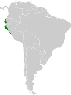 Distribución geográfica del bienteveo de Baird.