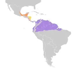 Distribución geográfica del bienteveo rayado (excluyendo el bienteveo rayado meridional M. solitarius).