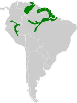 Distribución geográfica del fiofío coroniamarillo.