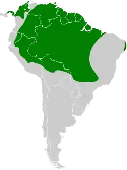 Distribución geográfica del fiofío selvático.