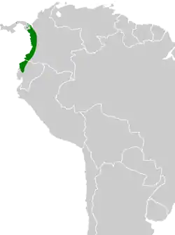 Distribución geográfica del fiofío gris del Chocó.