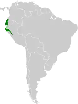 Distribución geográfica del mosquero grisáceo.