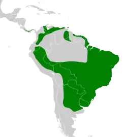 Distribución geográfica del mosquero estriado.
