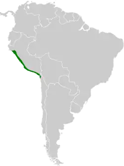 Distribución geográfica del mosquero rojizo.