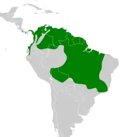 Distribución geográfica del bienteveo alicastaño.