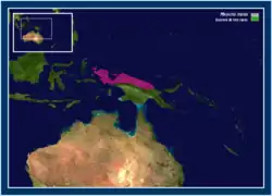 Mapa de distribución de Myoictis melas