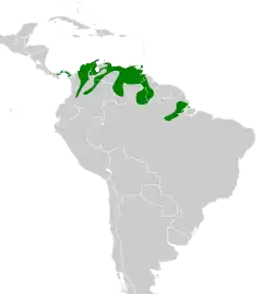 Distribución geográfica del hormiguero ventriblanco.