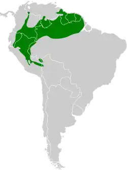 Distribución geográfica del hormiguero alimoteado.