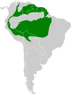Distribución geográfica del hormiguero cejiblanco.