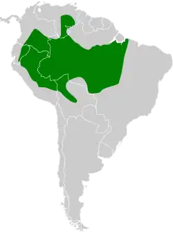 Distribución geográfica del hormiguero carinegro.