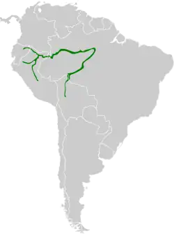 Distribución geográfica del hormiguero negriblanco.