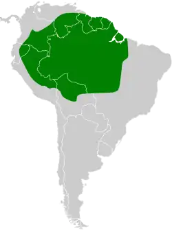 Distribución geográfica del hormiguero gorginegro.