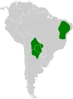 Distribución geográfica del hormiguero estriado.
