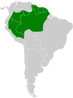 Distribución geográfica del tororoí campanero.