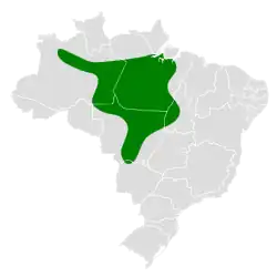 Distribución geográfica del tororoí del Tapajós.