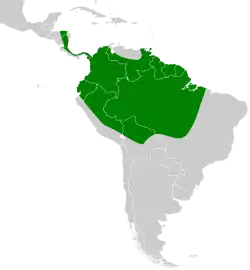 Distribución geográfica del hormiguerito flanquialbo.
