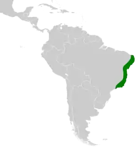 Distribución geográfica del hormiguerito flanquiargentino.