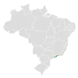 Distribución geográfica del hormiguerito de Salvadori.