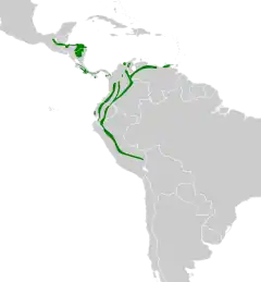 Distribución geográfica del hormiguerito pizarroso.