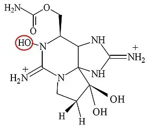 NEOSAXITOXINA.