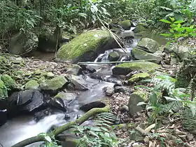 Arroyo en el Morro do Spitzkopf