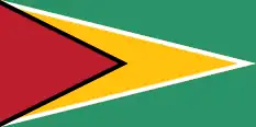 Pabellón de Guyana, el mismo diseño que su bandera, pero en proporciones 1:2.