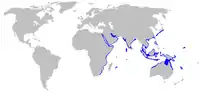 Distribución del Tiburón nodriza leonado (en azul).