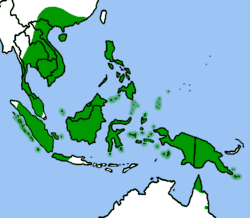 Distribución de N. mirabilis.