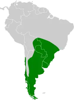 Distribución geográfica del pato picazo.