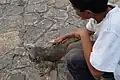 Niño con iguana en el Parque Seminario