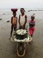 Niños pescadores en Kogo