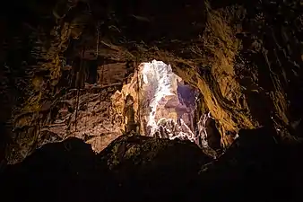Dentro de la cueva de Niah