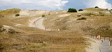 Istmo de Curlandia: Dunas de Nida