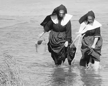 Monjas recolectando almejas en Long Island.