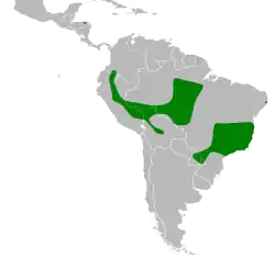 Distribución geográfica del chotacabras ocelado.