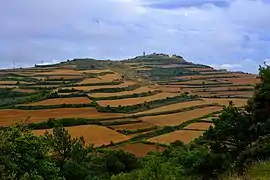 Zona de Forés