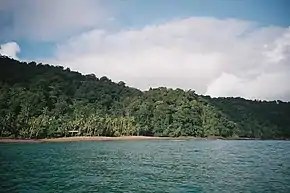 Selva húmeda tropical