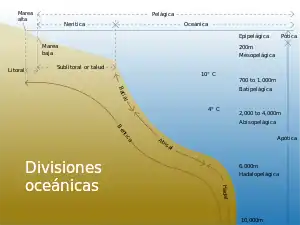 Infografía que muestra divisiones oceánicas dependiendo de profundidad y distancia de la costa.